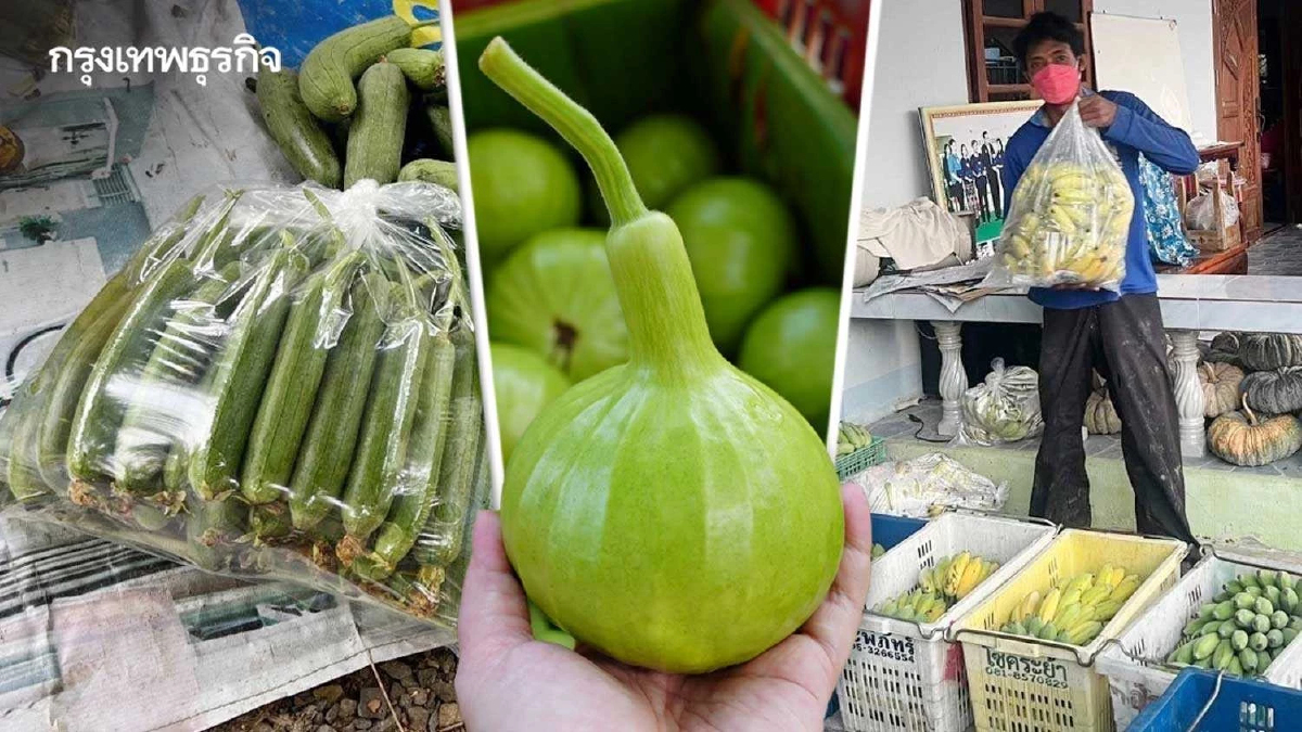 ไทยยูเนี่ยน เปิดพื้นที่วางผักปลอดภัยบ้านแพ้วขายพนักงาน 7,218 คนต่อวัน