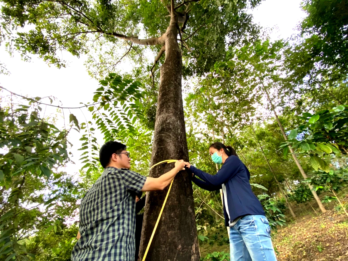 เครือเจริญโภคภัณฑ์  ติด 1 ใน 38 องค์กรของโลกที่มีบทบาทสูงสุด ร่วมขับเคลื่อนการพัฒนาที่ยั่งยืน
